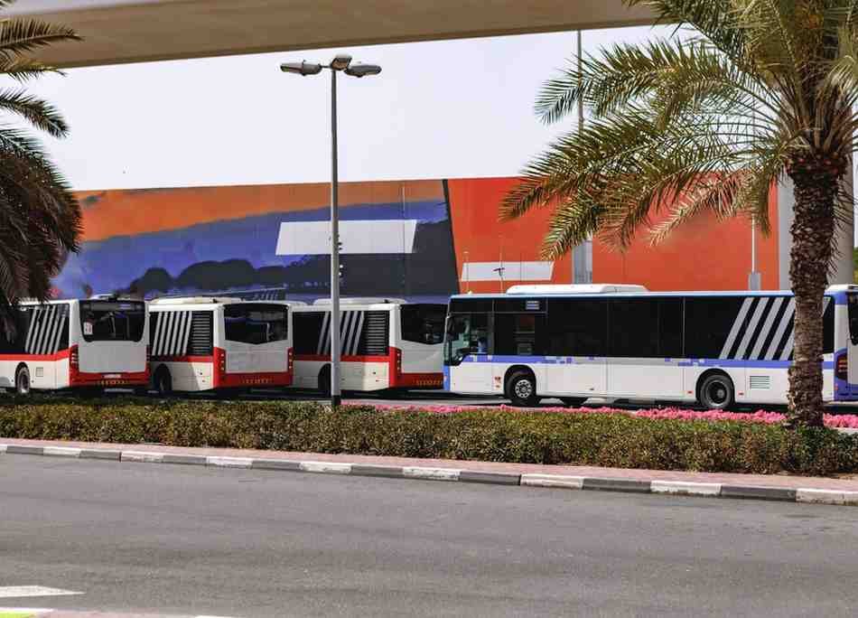 Airport Shuttle Buses