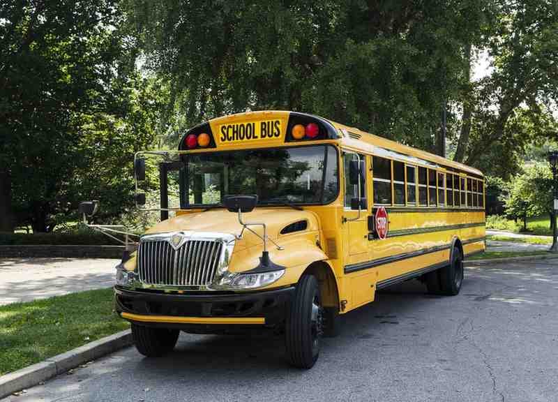 School Buses