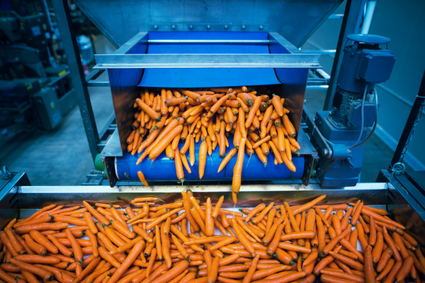 Food Processing Equipment